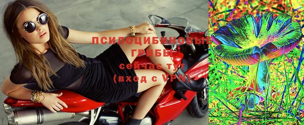 шишки Алексин